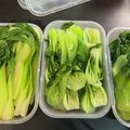 Flykitty's cooksnap of when they made 付け合せに最高！冷たいチンゲン菜.