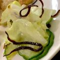 MULA's cooksnap of when they made レタスときゅうりの塩昆布サラダ.