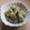 きらり流れ星's cooksnap of when they made 簡単あと一品＊ナスのごま和え.
