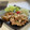 かっちゃん杉's cooksnap of when they made 豚の ごま生姜焼き.