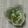 おはなすき's cooksnap of when they made しらす和え.