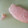 3姉妹ちゃんママ's cooksnap of when they made たらこの皮はこう取る.