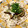 クックCKWZHQ☆'s cooksnap of when they made 簡単！！なすとおろしの冷しうどん.