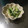 みみふぁん's cooksnap of when they made きゅうりとササミのおつまみ.