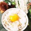 ゆるмαмα's cooksnap of when they made 変身☆たまごかけごはん.