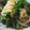 きらり流れ星's cooksnap of when they made 簡単塩焼きそば！.