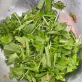 クック2439's cooksnap of when they made あっという間に完成！生春菊の黒酢サラダ.