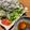 クックMi〜No's cooksnap of when they made パクチーサラダのドレッシング.