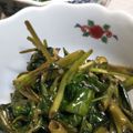 いさみょば's cooksnap of when they made 【超簡単】空芯菜のオイスターソース炒め.
