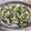 となりのととろっ♪'s cooksnap of when they made ゴーヤの白和え.