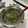 まぺーきぃ's cooksnap of when they made これは感動‼モロヘイヤスープ.