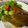 クックJXNT1S☆'s cooksnap of when they made 簡単！美味しい♪丸ごとピーマンの肉詰め♪.