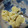 クック1IT3N0☆'s cooksnap of when they made とうもろこしのアイスクリーム.