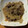 クックA2MVJK☆'s cooksnap of when they made 牛小間としらたきとゴボウのさっと煮.
