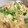 ブランシュkuu's cooksnap of when they made 美味しいをもう一度！の白菜卵とじ.