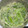 ★ゴンぎつね★'s cooksnap of when they made ささげのごま味噌マヨ和え.