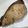 わたるんママ's cooksnap of when they made フライパンで焼くブリの塩焼き.