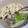 ふうか1D's cooksnap of when they made （≧∇≦）にんにく香る♫あったかスープ.