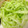 MULA's cooksnap of when they made 簡単！キャベツのしょうがあえ.