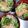 ☆あさ's cooksnap of when they made 冷やしうどん.