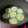 クックLHI0ER☆'s cooksnap of when they made ゴーヤ種ごと素揚げ！.