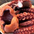 しみっちゃん♩'s cooksnap of when they made たこの柔らか煮.