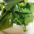 ﾌﾞﾚﾝﾀﾞ's cooksnap of when they made 薬味たっぷり冷奴.