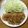 きゅんらこ☆'s cooksnap of when they made 豚ロースと玉ねぎのしょうが焼き.