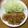 きゅんらこ☆'s cooksnap of when they made 豚ロースと玉ねぎのしょうが焼き.