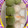 クック3VG036☆'s cooksnap of when they made 簡単☆濃厚ほうじ茶&抹茶アイスクリーム☆.