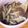 クックIK4DS8☆'s cooksnap of when they made 油不使用♪海老とキノコの中華丼.