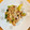 こーやんたん's cooksnap of when they made 簡単！豚とキャベツのしょうが炒め.