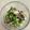 caruga's cooksnap of when they made 塩きのこ♪冷蔵庫に常備.