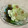 papikun's cooksnap of when they made 白瓜の簡単漬け.
