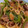 クックLDX6TD☆'s cooksnap of when they made 牛肉とピーマンともやしのオイスター炒め.
