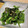 ayayahoney's cooksnap of when they made ピーマンと生ワカメのツナ和え.