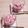 アクセル☆'s cooksnap of when they made 超簡単♥ヨーグルトでイチゴミルクアイス♪.