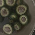 クックO7UFZH☆'s cooksnap of when they made クセになる美味しさ☆ゴーヤーの肉詰め♫.