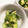 もふもふ花ちゃん's cooksnap of when they made きゅうりとさきイカの酢の物.