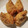 にしあまね's cooksnap of when they made お稲荷さん.