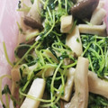 もともととが's cooksnap of when they made エリンギと豆苗の炒め物.