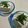 papikun's cooksnap of when they made 香りで食べる！大葉&いりごま冷奴.