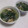 きらり流れ星's cooksnap of when they made 小松菜ときのこのスープ・中華風.
