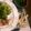 minmo2✳️2's cooksnap of when they made 梅海苔和風大根サラダ.
