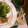 minmo2✳️2's cooksnap of when they made 梅海苔和風大根サラダ.