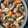 クックKMS326☆'s cooksnap of when they made 具だくさん簡単煮物♧筑前煮.