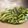 クックT19VCT☆'s cooksnap of when they made ゴウヤの酢の物.
