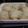 クックYEJ36V☆'s cooksnap of when they made レンジでキャベツの花シュウマイ.