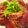 yuktab's cooksnap of when they made かつおのたたき丼.
