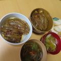 よちりん's cooksnap of when they made 400円の奇跡！うナス丼(うなぎ風).